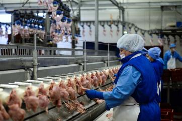 В России падают цены производителей на мясо